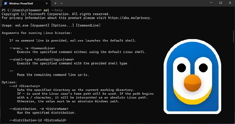 微软宣布 Windows Subsystem for Linux (WSL) 开源微软在 Build 2025 大会上宣布，Windows Subsystem for Linux (WSL) 正式开源，其大部分源代码已在 GitHub 上提供